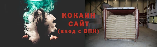 прущие грибы Арсеньев