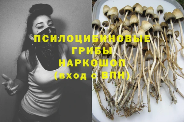 прущие грибы Арсеньев
