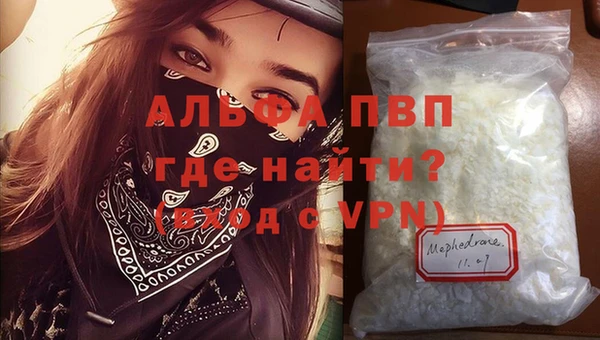 шишки Новодвинск
