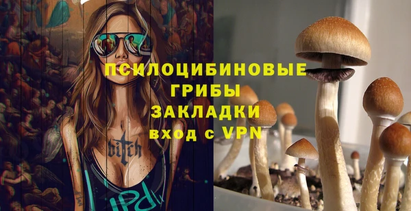 твердый Армянск