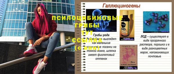 прущие грибы Арсеньев