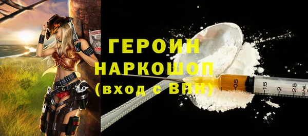 шишки Новодвинск