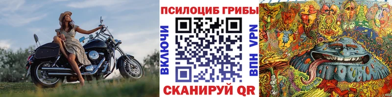 Псилоцибиновые грибы GOLDEN TEACHER  Райчихинск 